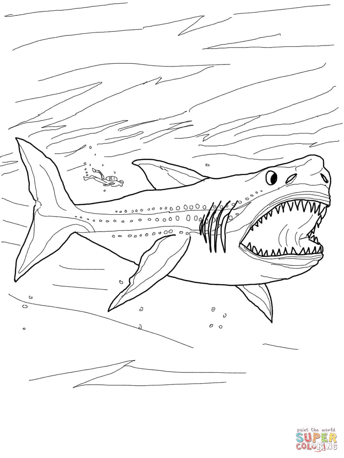 1200x1600 Great White Shark Coloring Pages Gallery