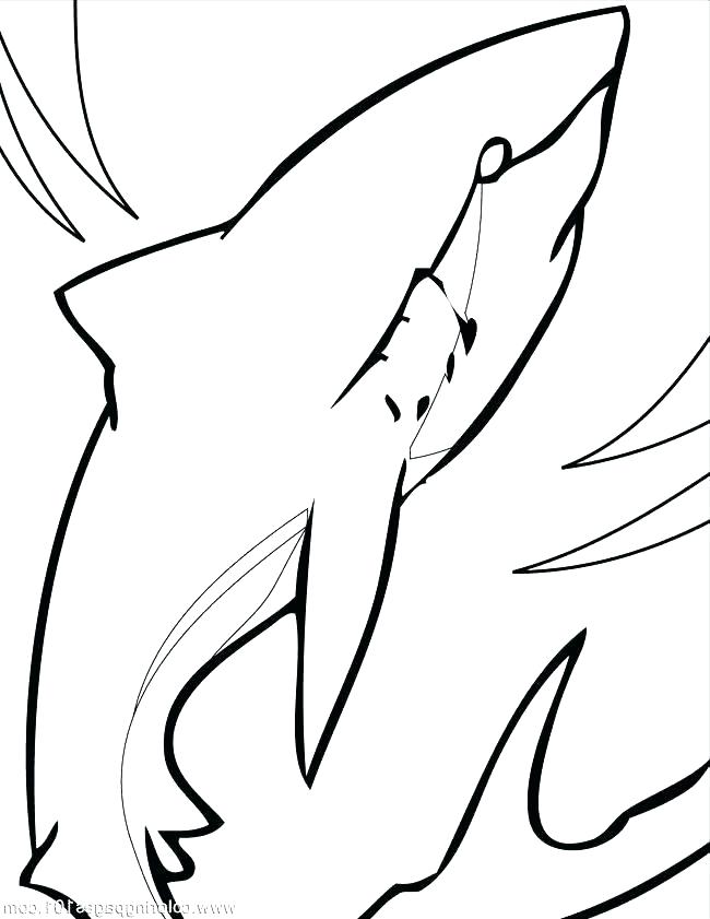 650x841 Shark Coloring Pages Great White Shark Coloring Pages The Shark