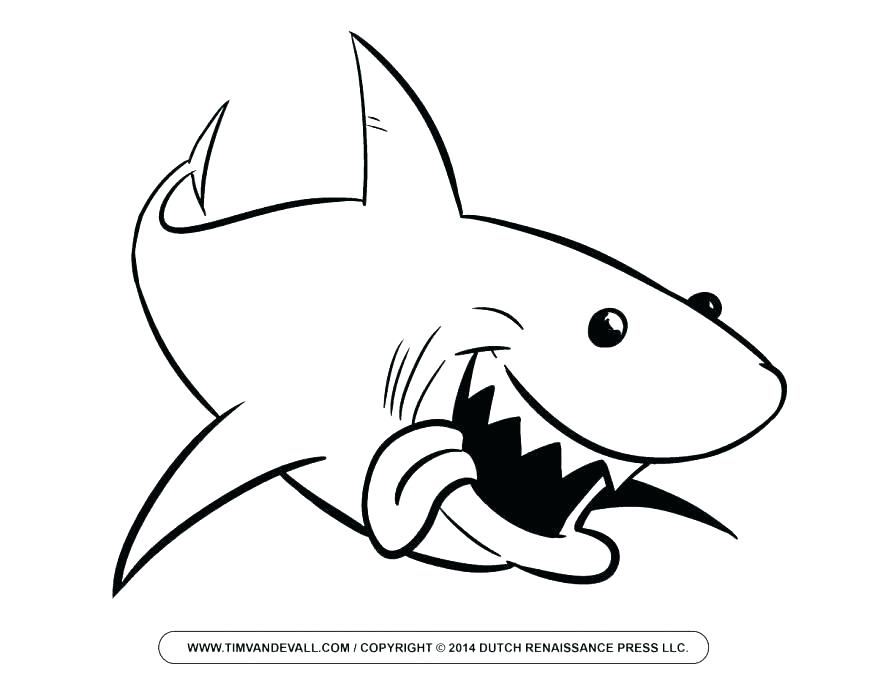 878x678 Shark Picture To Color Great White Shark Coloring Page Coloring