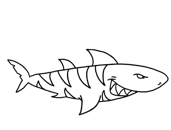 600x454 Free Shark Coloring Pages Great White Shark Pictures Print Great
