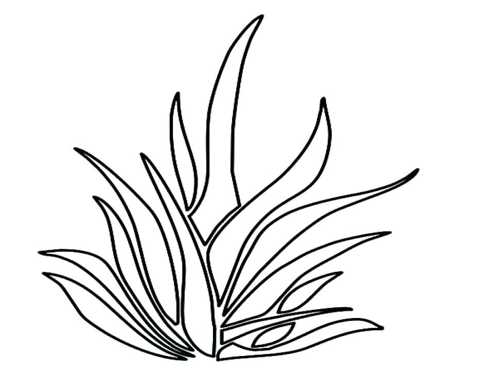 970x728 Garden Full Of Tall Grass Coloring Pages Color Garden Full Of Tall