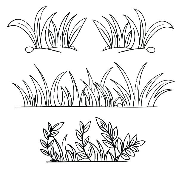 600x585 Grass Coloring Pages Stunning Grass Coloring Page Grass Grow So