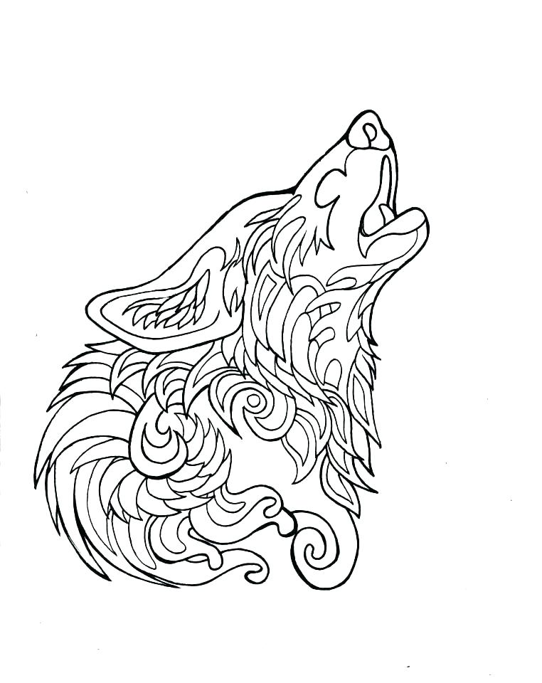 762x960 Gray Wolf Coloring Page Grey Wolf Coloring Sheets Mexican Gray