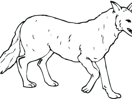 Grey Wolf Coloring Pages at GetDrawings | Free download