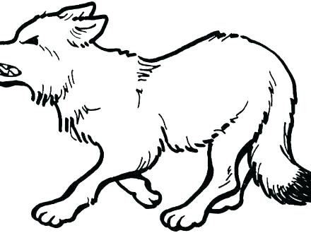 440x330 Grey Wolf Coloring Pages Gray Wolf Coloring Page Coloring Page