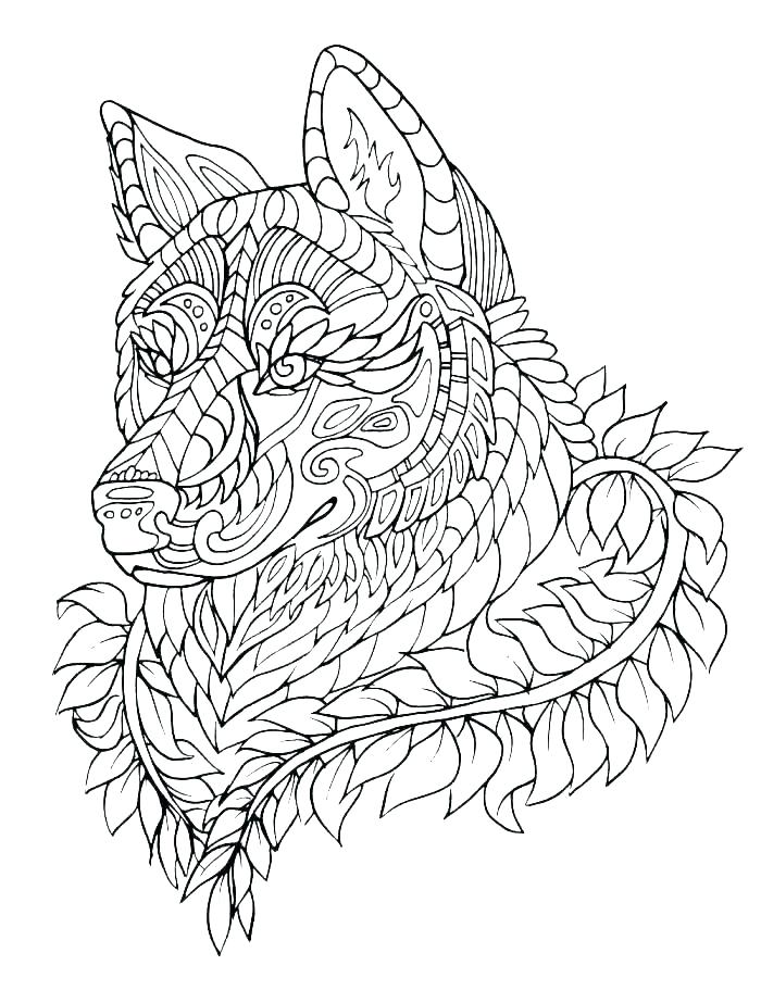 700x923 Grey Wolf Coloring Pages Wolf Coloring Book Math Colouring Sheets