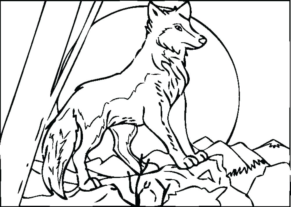 1000x713 Wolf Coloring Book Gray Wolf Coloring Page Grey Wolf Coloring