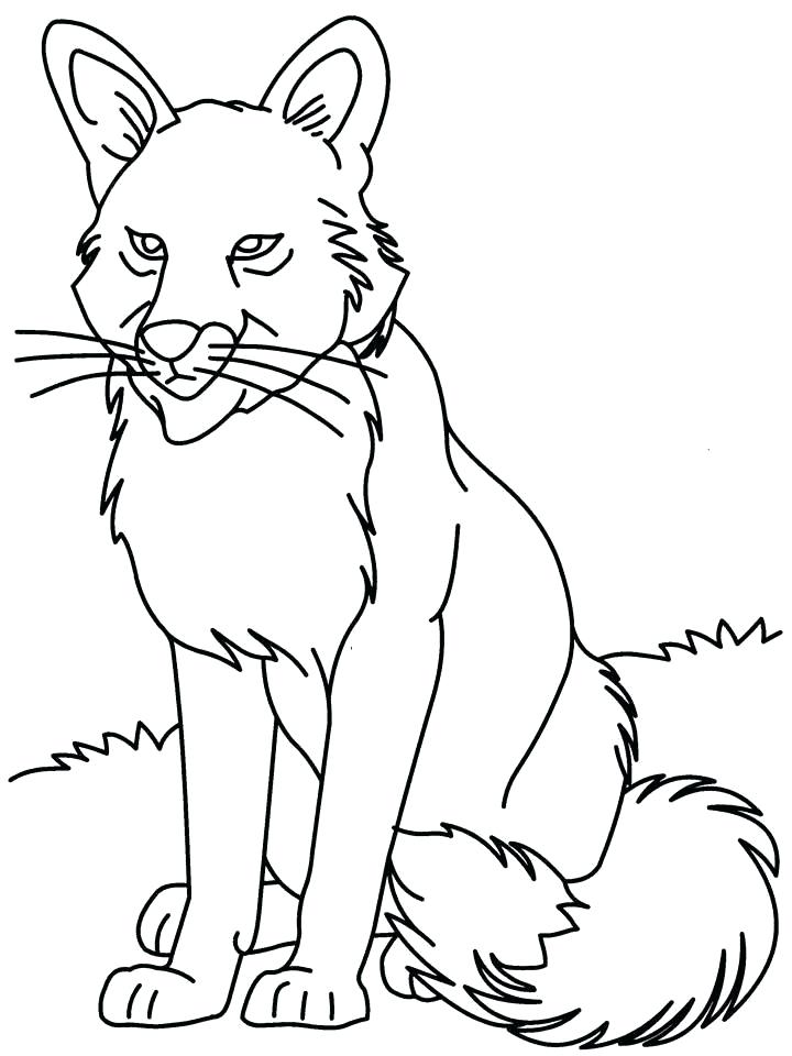 720x960 Wolf Pictures To Color Plus Grey Wolf Coloring Pages Anime Wolf