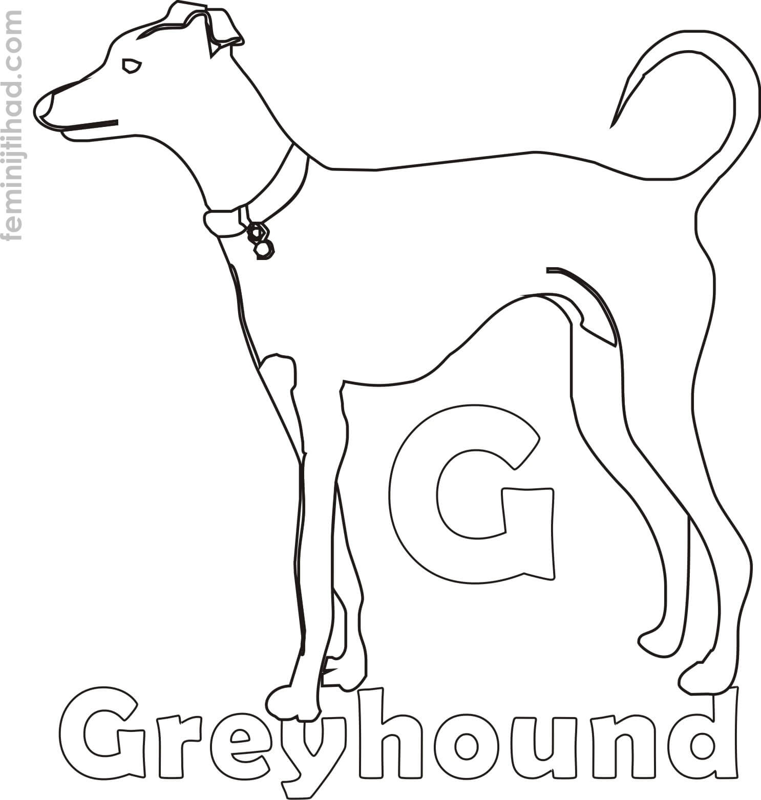 1486x1563 Greyhound Coloring Pages Coloring Pages For Kids