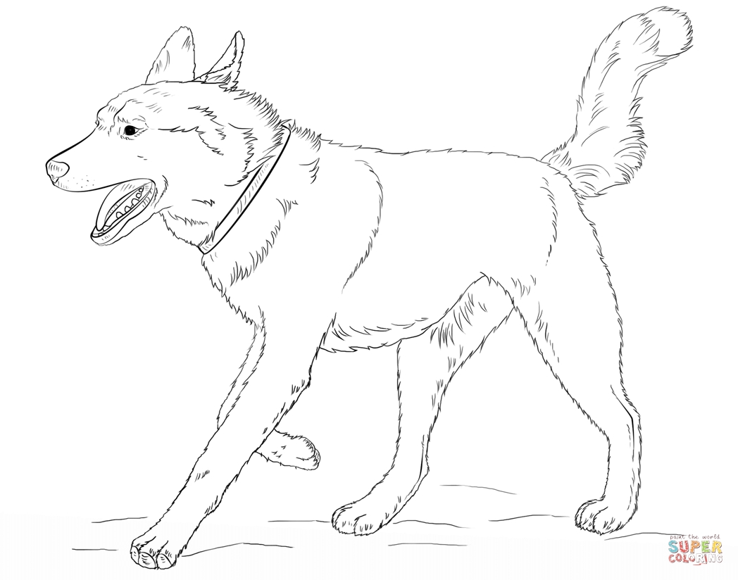 1048x824 Siberian Husky Coloring Pages Gallery Coloring For Kids