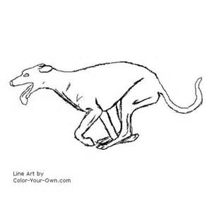 300x300 Greyhound Coloring Pages, Greyhound Coloring Pages