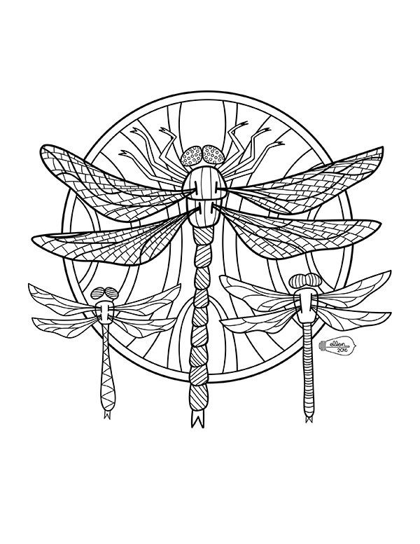600x776 Digital Stamp Coloring Page Dragonflies