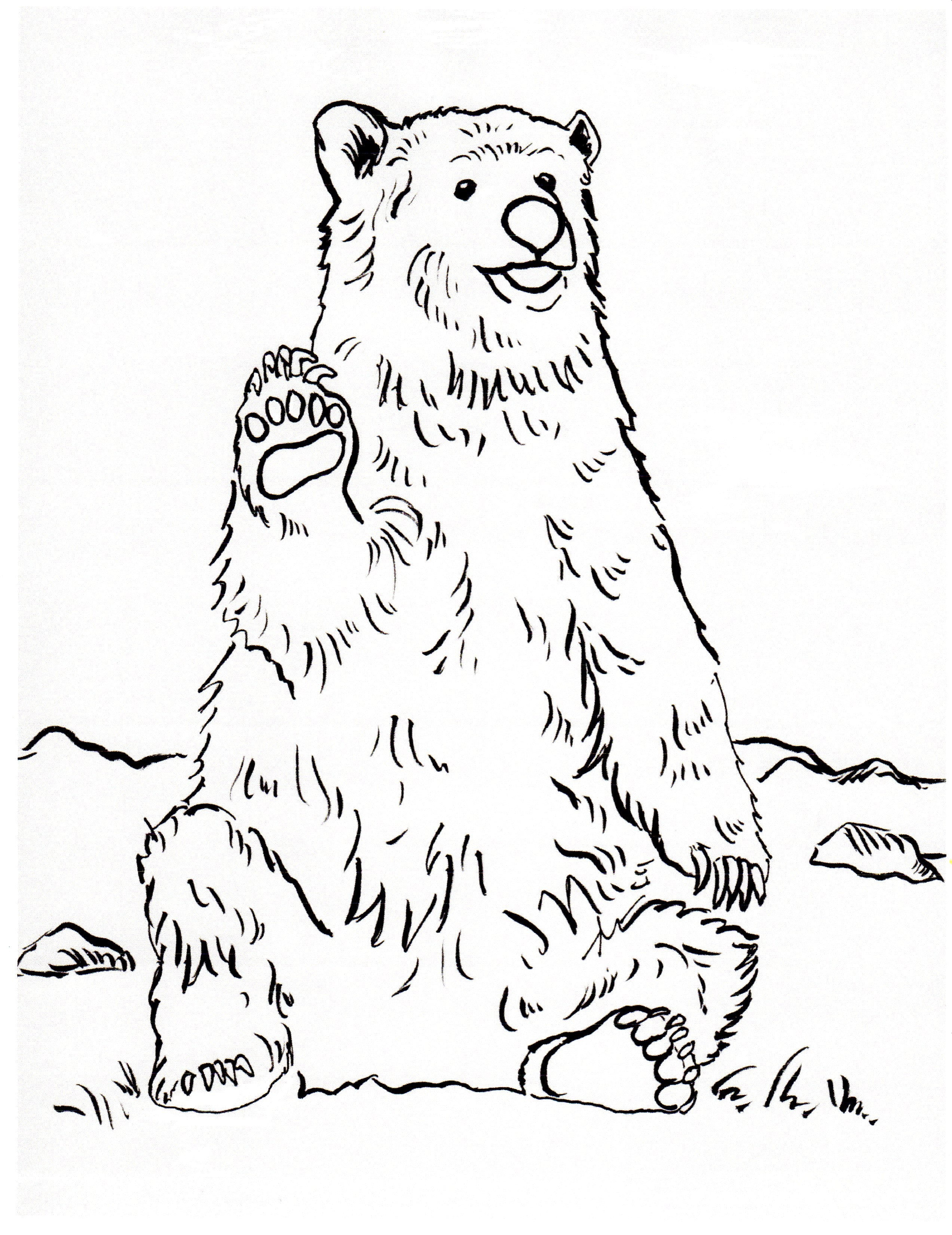 2545x3300 Free Coloring Pages And Reference Pictures