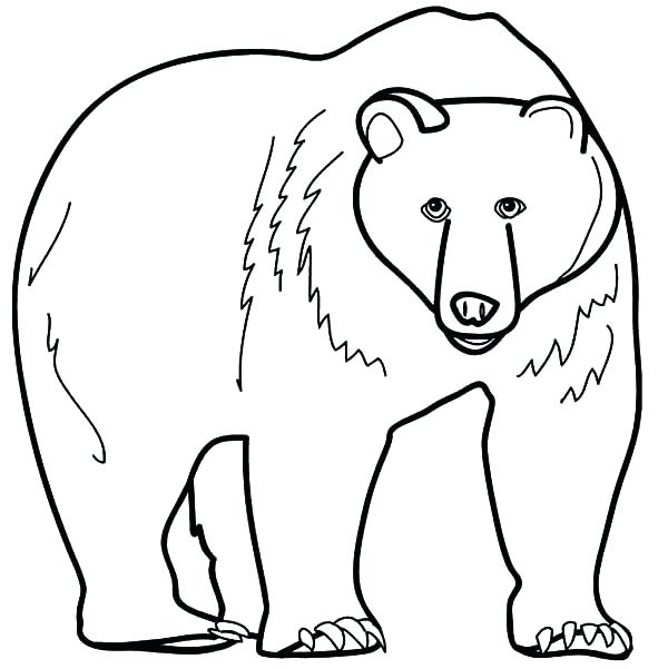 600x601 Grizzly Bear Coloring Page Coloring Grizzly Bear Coloring Page