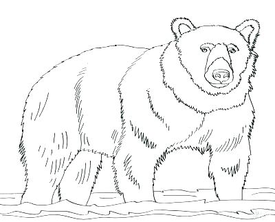 400x322 Grizzly Bear Coloring Pages Bears Coloring Pages Free Printable