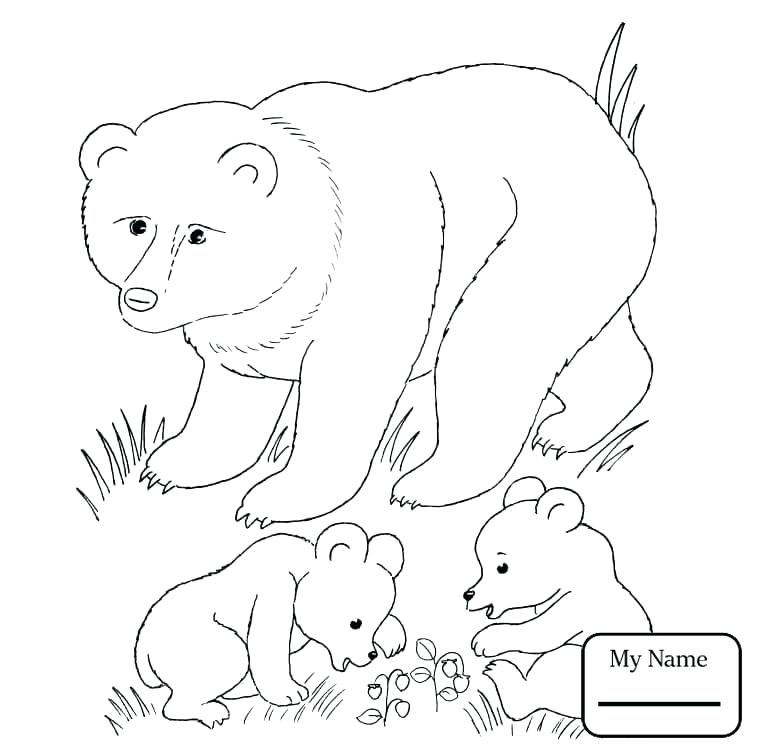 757x753 Grizzly Bear Coloring Pages Coloring Pages Mammals Brown Bears