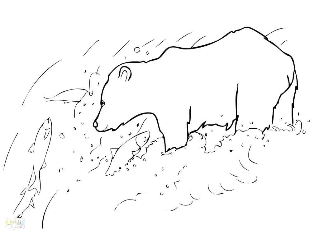 1024x753 Grizzly Bear Coloring Pages S Free Printable Grizzly Bear Coloring