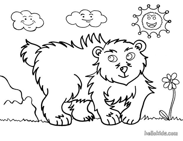 620x480 Grizzly Bear Coloring Pages