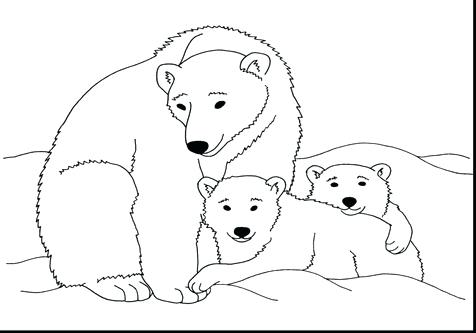 476x333 Polar Bear Coloring Sheet Page Image Images Bear Coloring Pages
