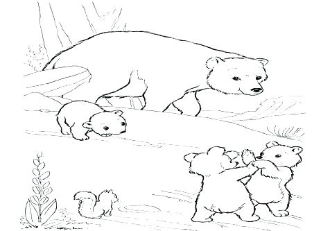 476x333 Grizzly Bear Coloring Pages