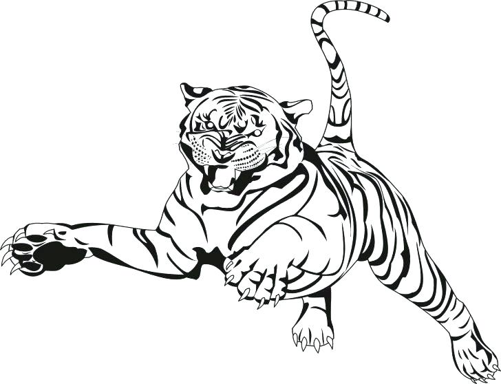 728x558 Store Coloring Page Tiger Coloring Book Plus Tiger Coloring Page