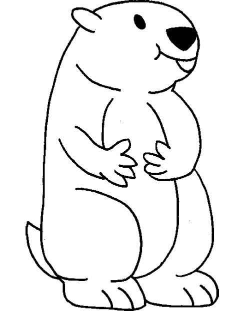 500x623 Groundhog Coloring Pages