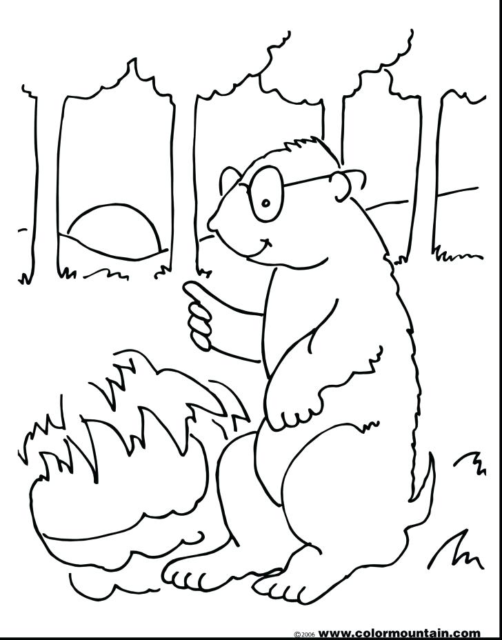 728x928 Groundhog Coloring Page