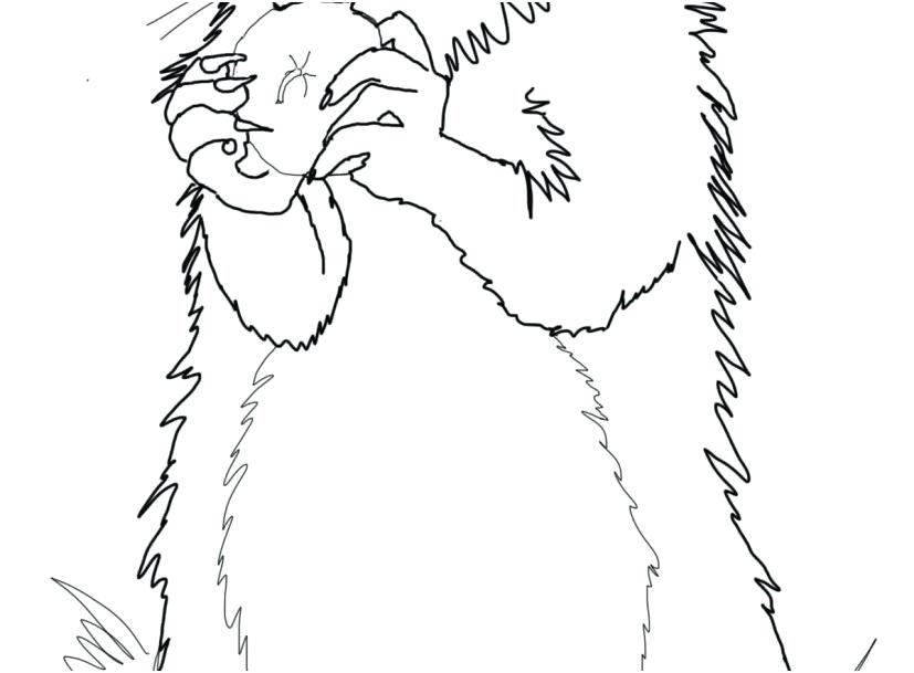 827x609 Groundhog Coloring Page Preschool Day Pages Unique Groundhogs