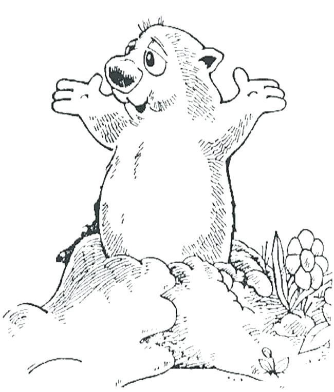 650x764 Groundhog Coloring Pages Awesome Groundhog Day Coloring Pages