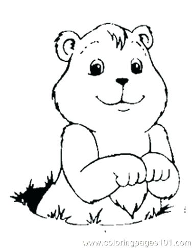 378x486 Groundhog Coloring Pages Groundhog Day Wear Large Hats Coloring