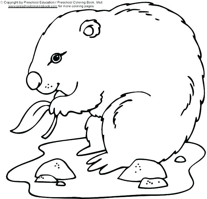 660x636 Groundhog Day Coloring Pages Printable