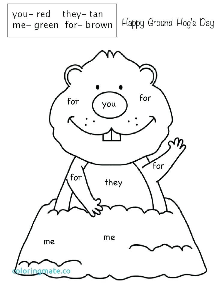 736x961 Groundhog Coloring Pages Coloring Page Groundhog Coloring Pages