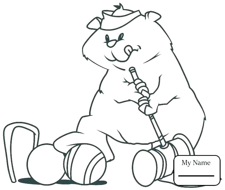 765x647 Groundhog Coloring Pages Groundhog Day Coloring Pages For Kids