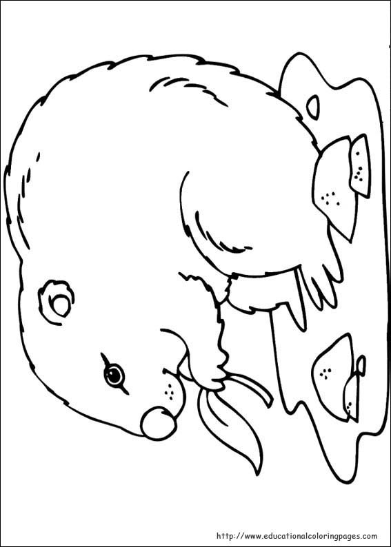 567x794 Groundhog Day Coloring Pages