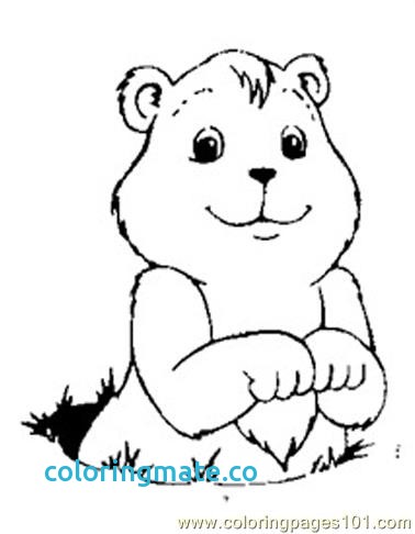 378x486 Groundhog Day Coloring Pages