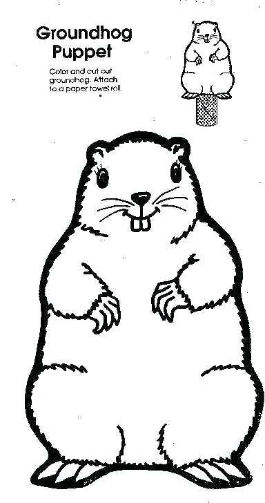 384x728 Groundhog Printable Coloring Pages Groundhog Groundhog Day