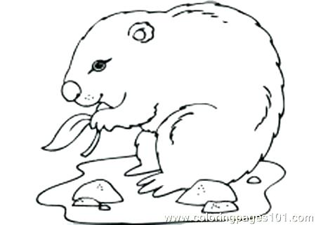 450x321 Groundhog Printables Coloring Pages And Activities Ground Hog Day
