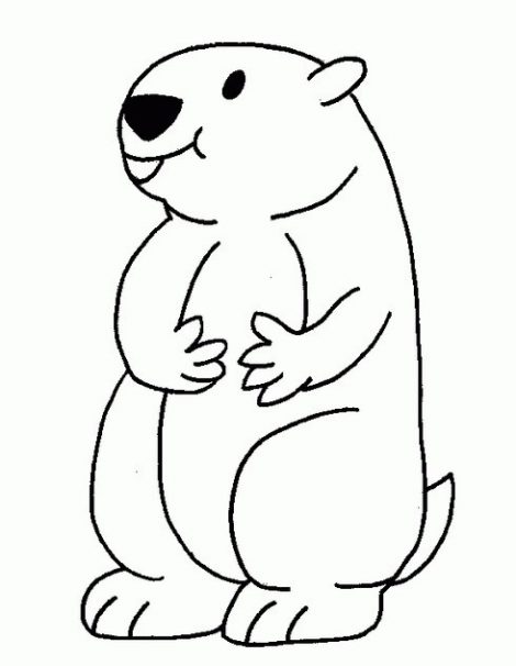 470x606 Groundhog Coloring Page All Kids Network