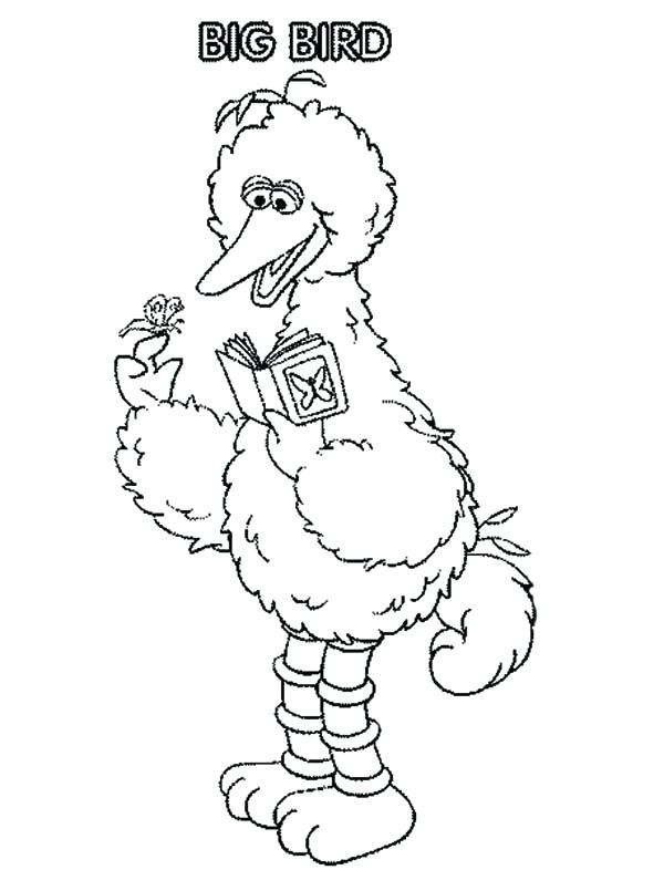 600x786 Sesame Street Coloring Pages Grover Character Big Bird Page Color