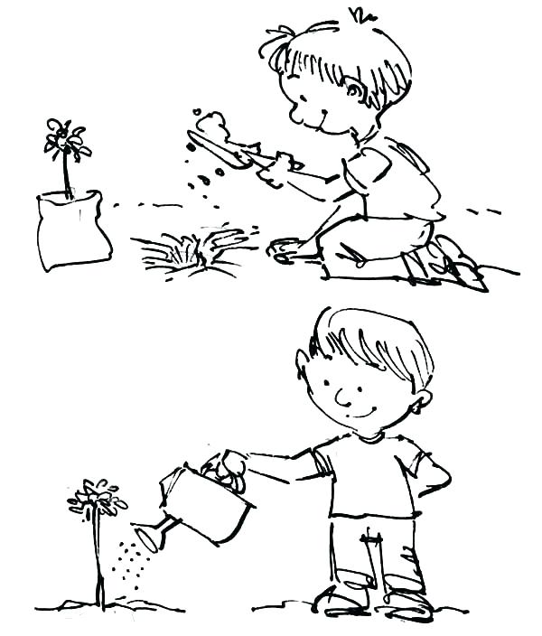 600x704 Plants Coloring Page Coloring Pages Trees Plants And Flowers As
