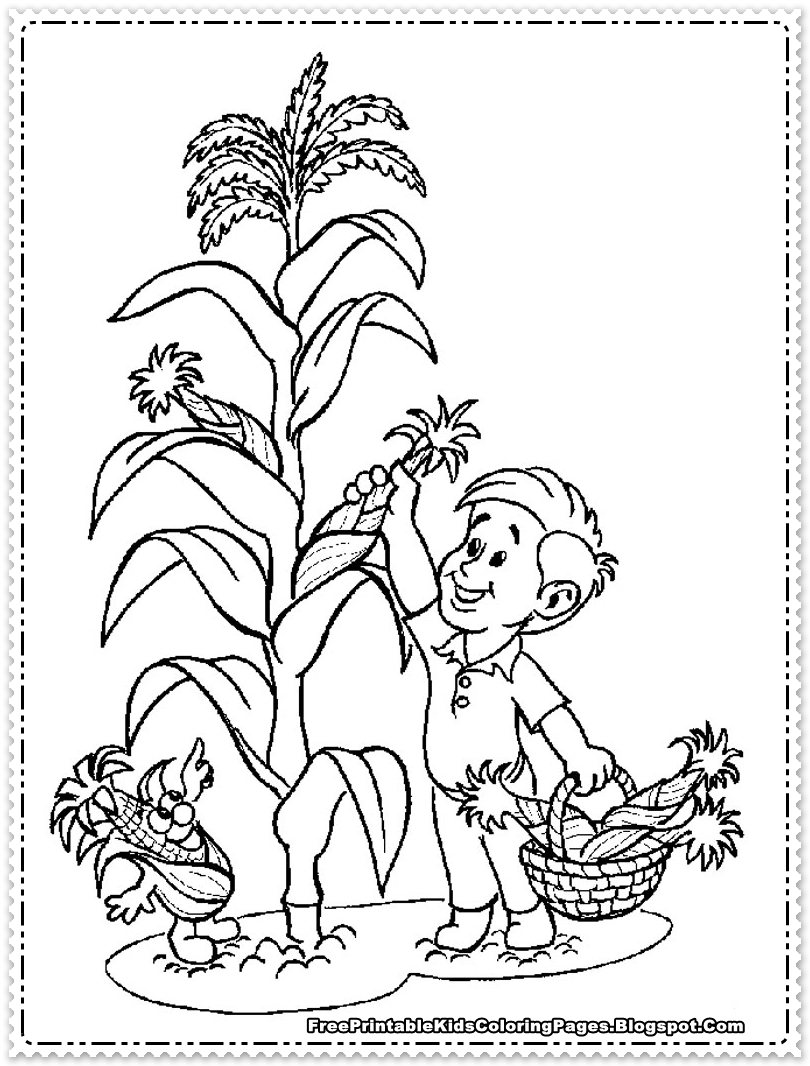 810x1066 The Best Corn Coloring Pages Printable Kids Picture Of Flower
