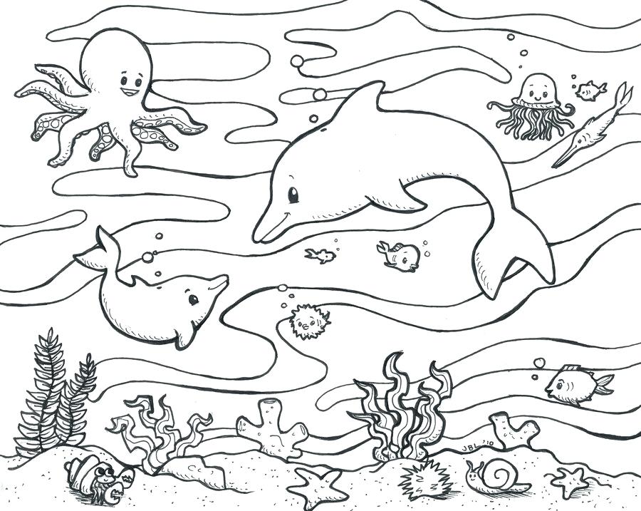 900x717 Marine Life Coloring Pages Ocean Life Coloring Pages Printable