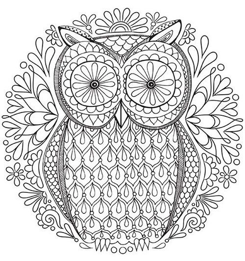 500x532 Owl Mandala Free Coloring Page