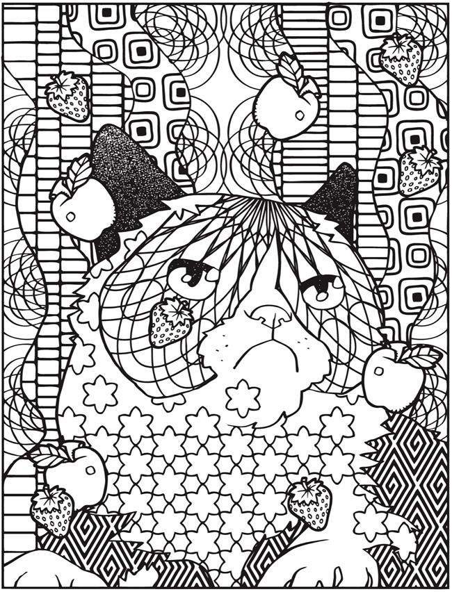 650x852 Dover Publications Creative Haven Grumpy Cat Hates Coloring