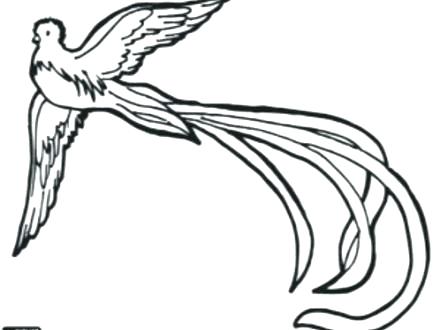 440x330 Flag Of Guatemala Coloring Page Grandmaman Site