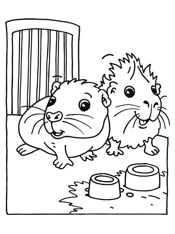 600x800 Cute Baby Guinea Pig Coloring Page Color Luna