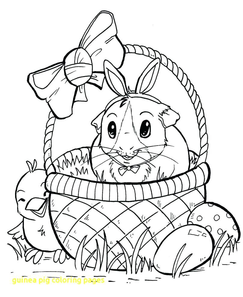 809x986 Coloring Page Guinea Pig Coloring Page Pages With Pigs Colouring