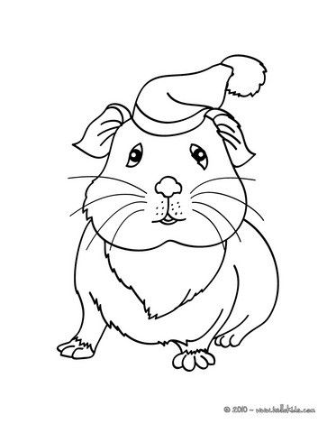 363x470 Guinea Pig Coloring Pages