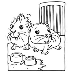 230x230 Top Free Printable Guinea Pig Coloring Pages Online Animal