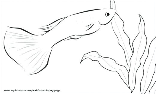 520x312 Guppy Animal Coloring Pages Free Bubble Guppies Coloring Pages